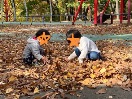 🍁 秋の公園